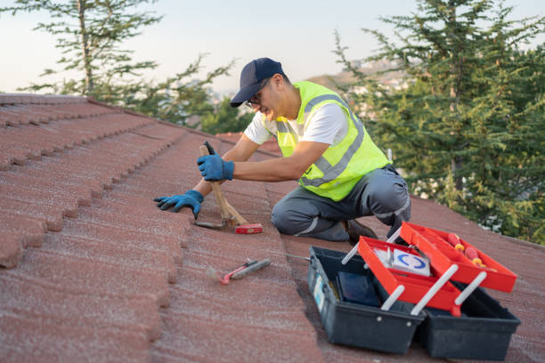 Best Roof Inspection Near Me  in Home Gardens, CA